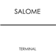 Salome - Terminal